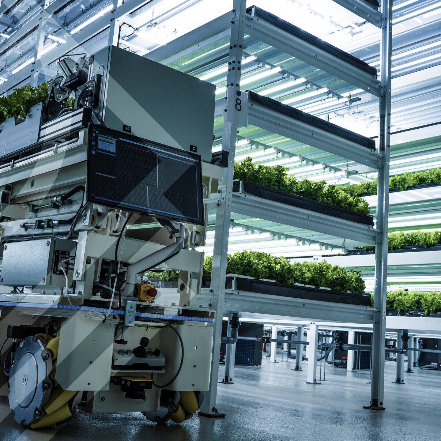 Automated hydroponic fodder growing system