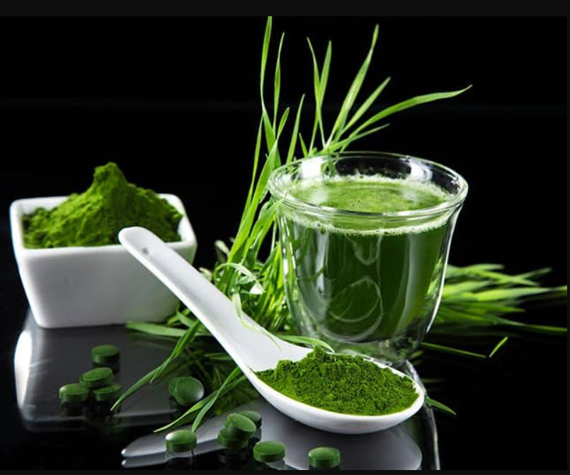 Fresh Wheatgrass Green Juice