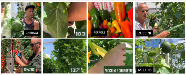 Greenhouse system differentiators