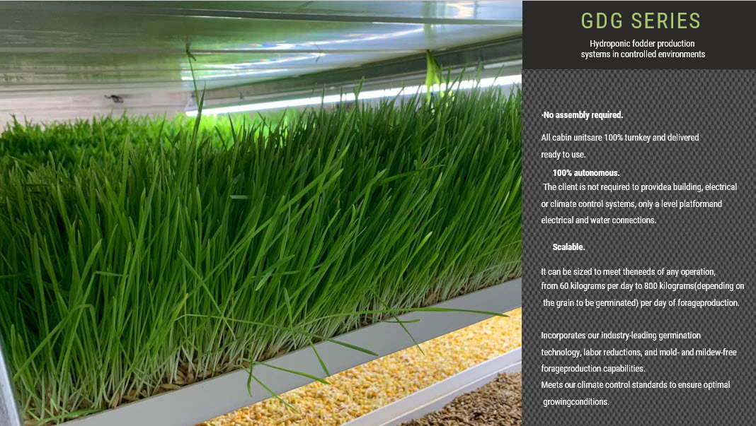 Horse fodder system installation