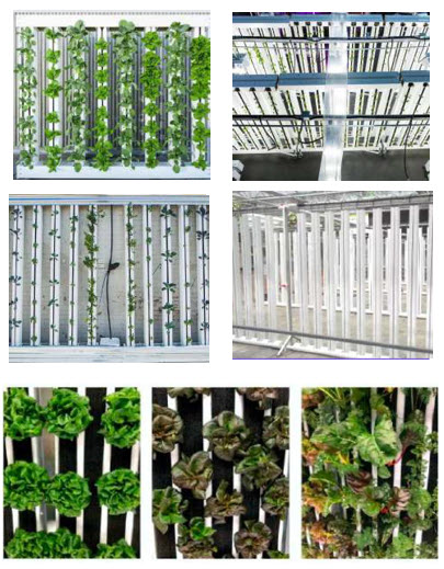 Vertical grow channels with crops
