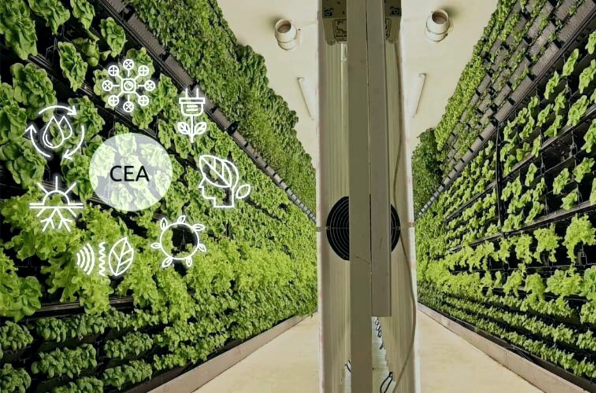 Controlled Environment Agriculture vertical growing racks with system icons